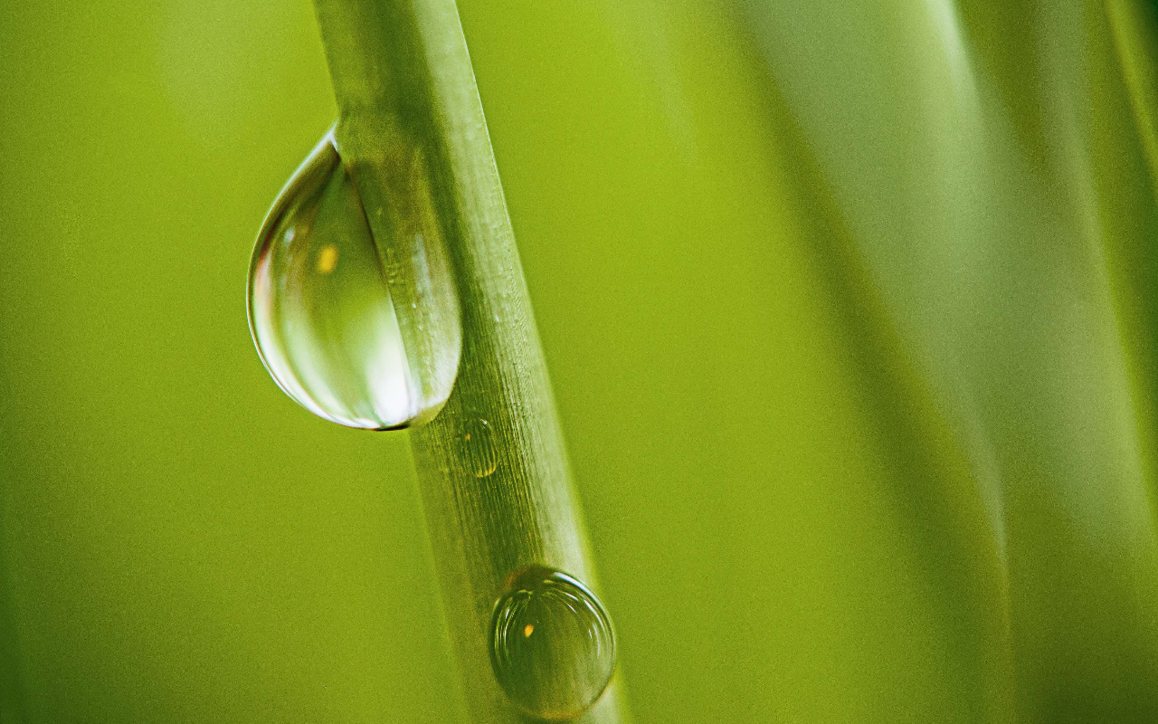 BERIMAN KEPADA TAKDIR DAN PILIHAN MANUSIA