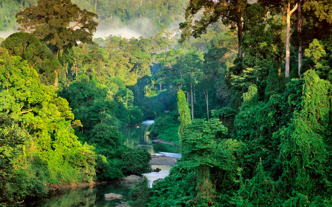 SEGALA SESUATU TERJADI DENGAN TAKDIR ALLAH