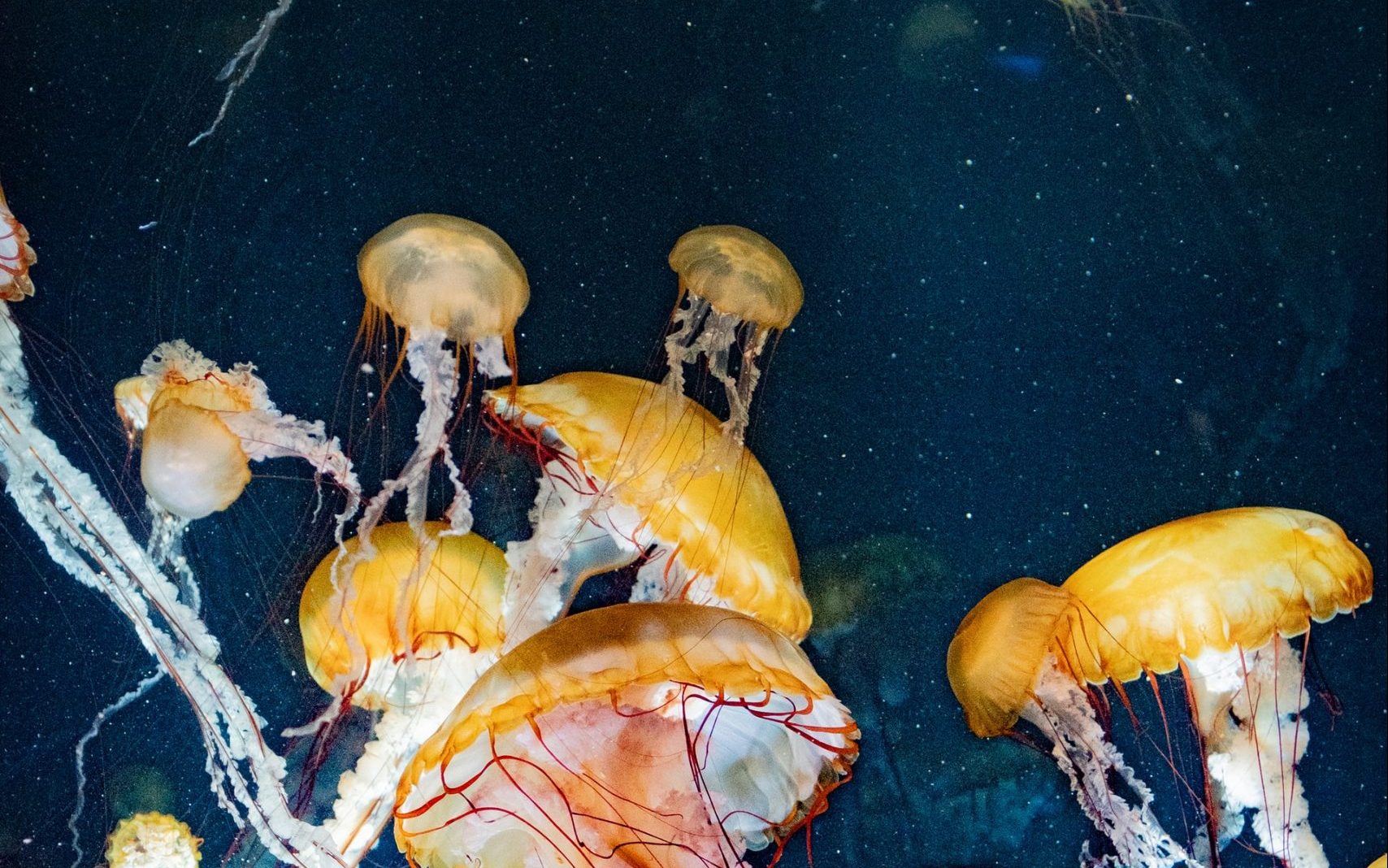 CIRI GENERASI YANG MENYELISIHI PETUNJUK PARA NABI