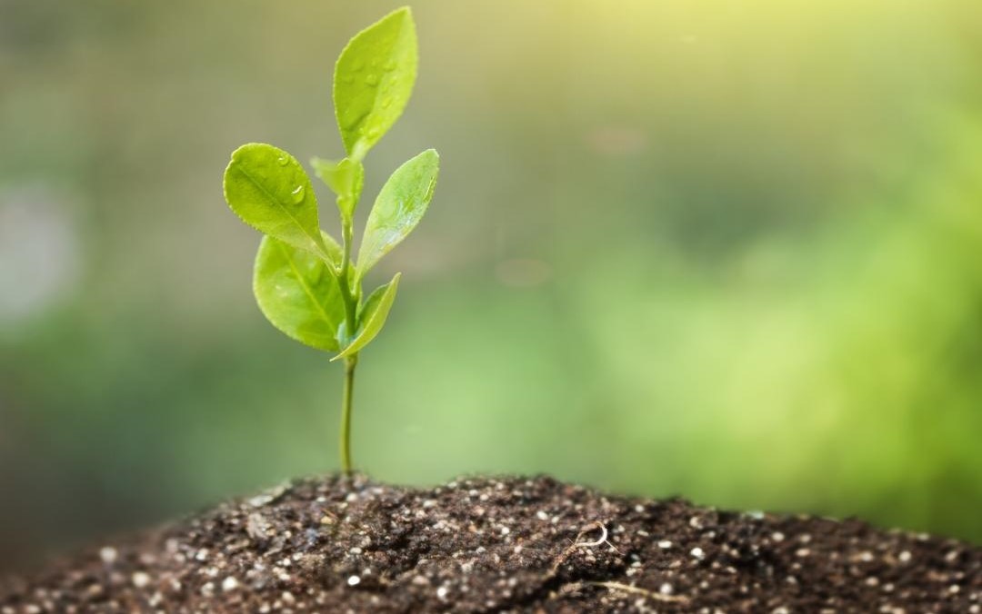 AKHLAK, ADAB, DAN RUKUN ISLAM